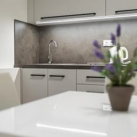 U Jirika 招待所 俄斯特拉发